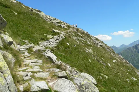 ceprostrada