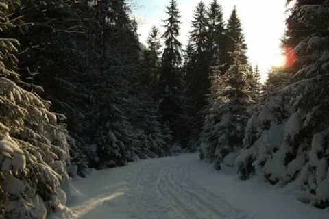 Ziarska dolina pod Zasekom