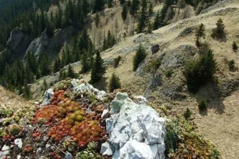 Sina na juznom hrebeni