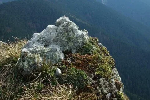 Sina na juznom hrebeni vzadu Nizny Bor