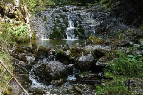 v dolinke Vyvieranie