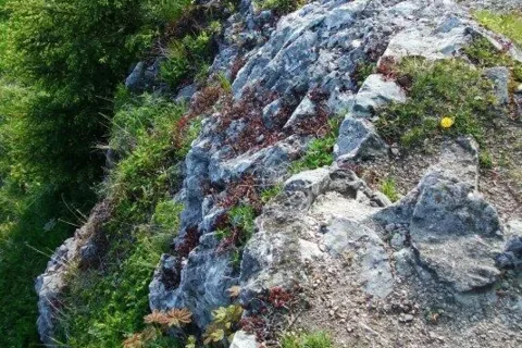 Liptovsky hrad