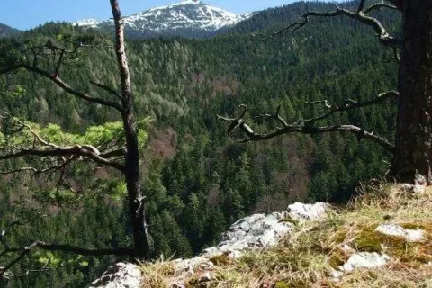 na vrchole Mestrovej Kamenny grun Ostro_Velke Ostre