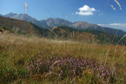 na Dlhom uplaze Zabrad Pachola Spalena Salatiny Brestova