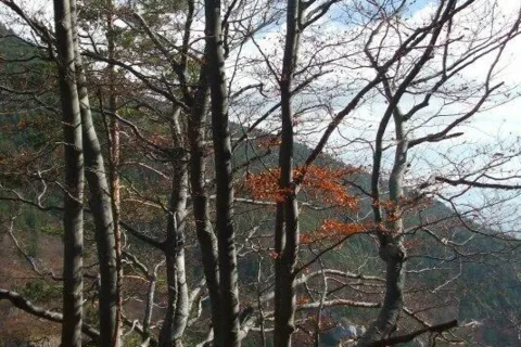 Prosiecka dolina
