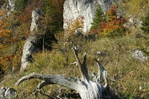 Opaliska - Setisko_Selnice