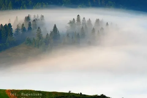 Mgły poranne