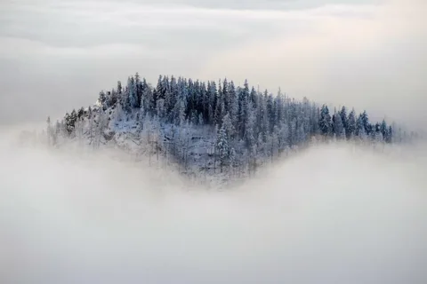 Nosal z Kopieńca Wielkiego
