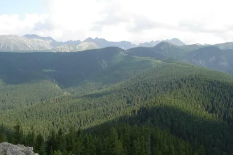 ... widok na Tatry z Nosala