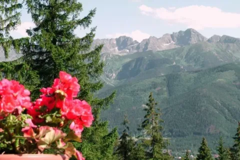 Widok 2