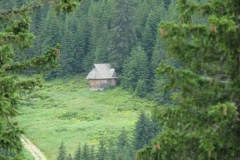 idąc na Kasprowy...