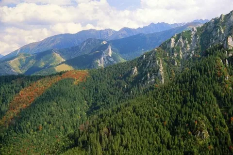 Panorama Tatr z Sarniej Skały