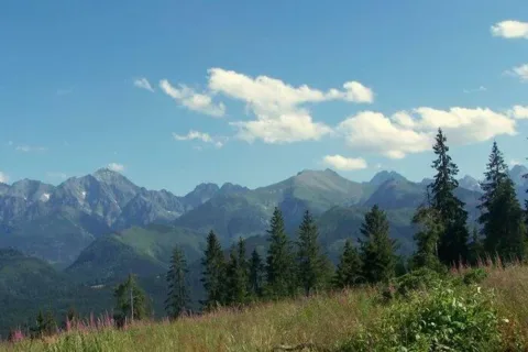 Panorama z Polany Zgorzelisko