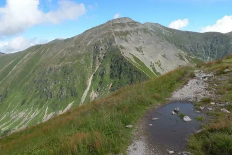 JARZĘBCZY WIERCH