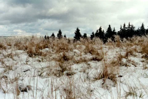 Hala Turbacz