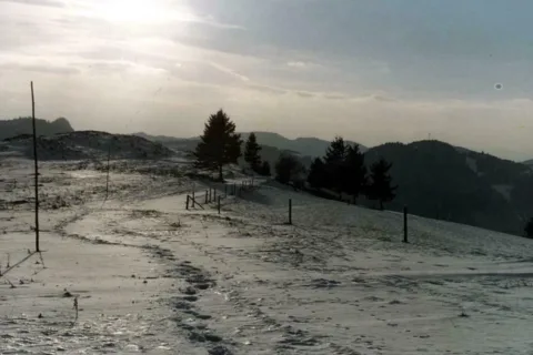 Zimą