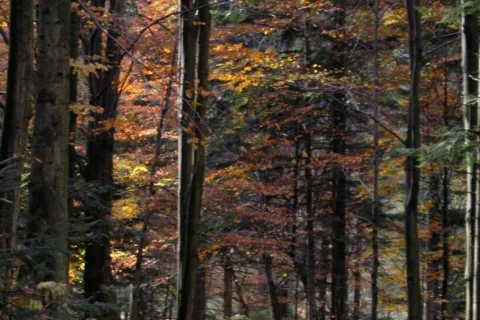 Pieniny jesienią