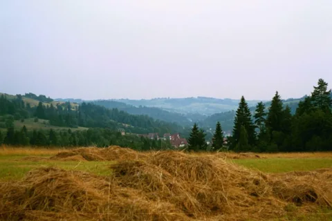 Gorce przed deszczem