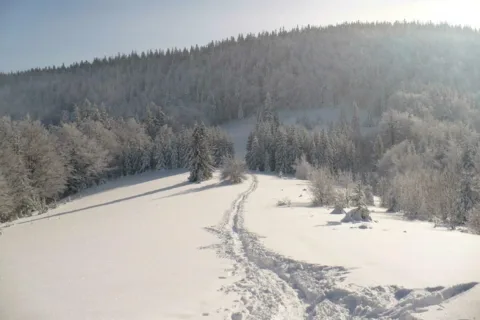 Ścieżka na Obidowiec