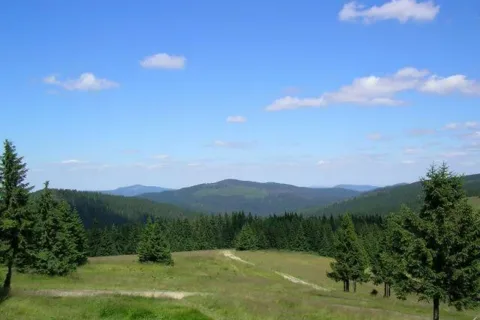 Gorce z Turbacza