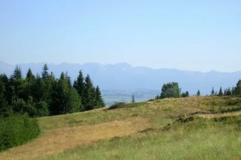 Tatry z Gorców