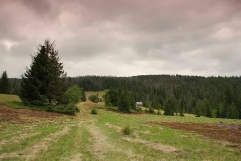 Polana Stawieniec w Gorcach