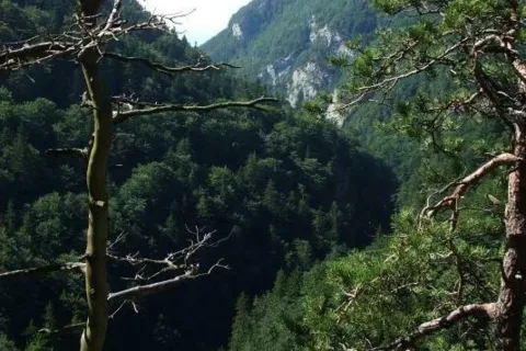 Kvacianska dolina