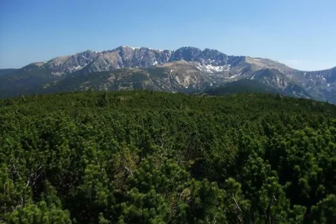 masiv Dumbiera Ludarova hola Bana