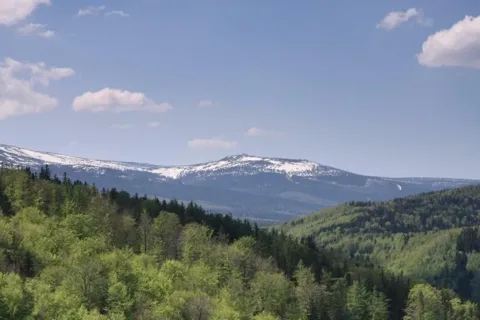 Szrenica