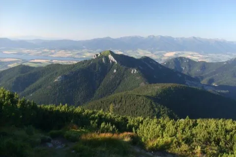 Havrany Sina spod Predneho Boru
