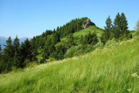 Rohacka 827 m