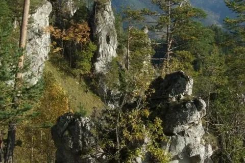 Opaliska - Setisko_Selnice