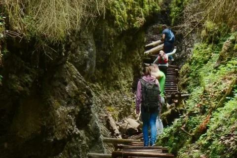 Rezervacia Sucha Bela plna zivota