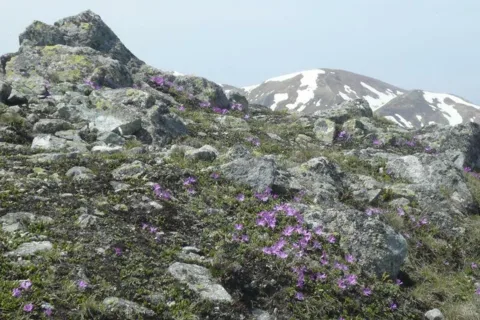 wiosna 2008