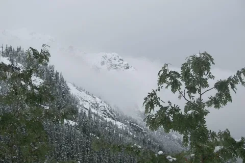 widok z Doliny Roztoki