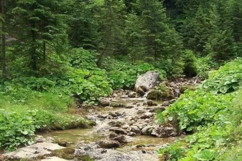 Potok górski