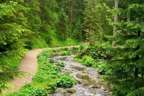 Potok górski