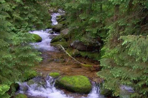Potok górski