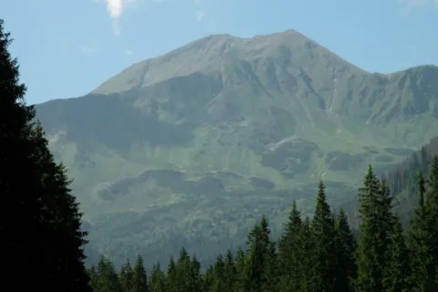 BŁYSZCZ