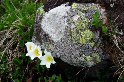 na Beskidzie