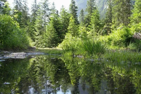 Zagadka