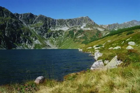 Staw