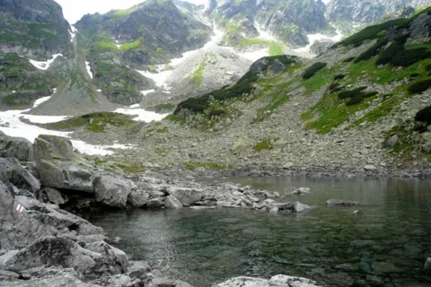 Stawek Staszica