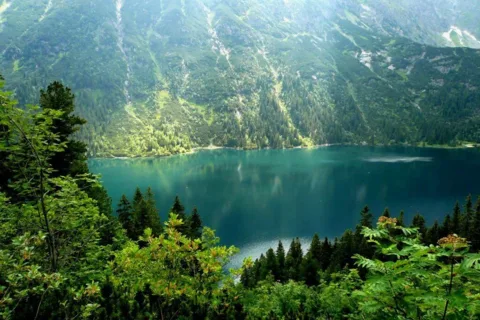 magia Morskiego Oka