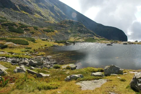 Staw nad Skokiem
