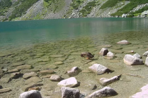 Czarny Staw Gąsienicowy