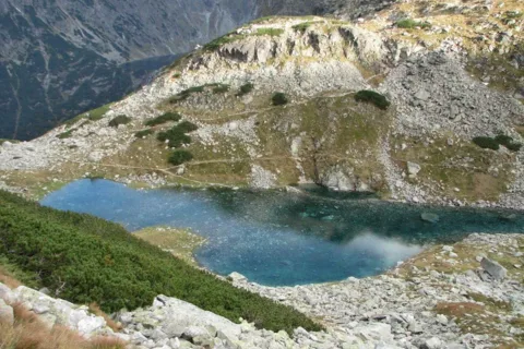 Staw Staszica
