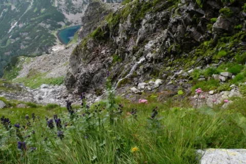 CZARNY STAW POD RYSAMI