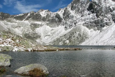 Hińczowy Staw