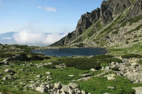 staw nad Skokiem